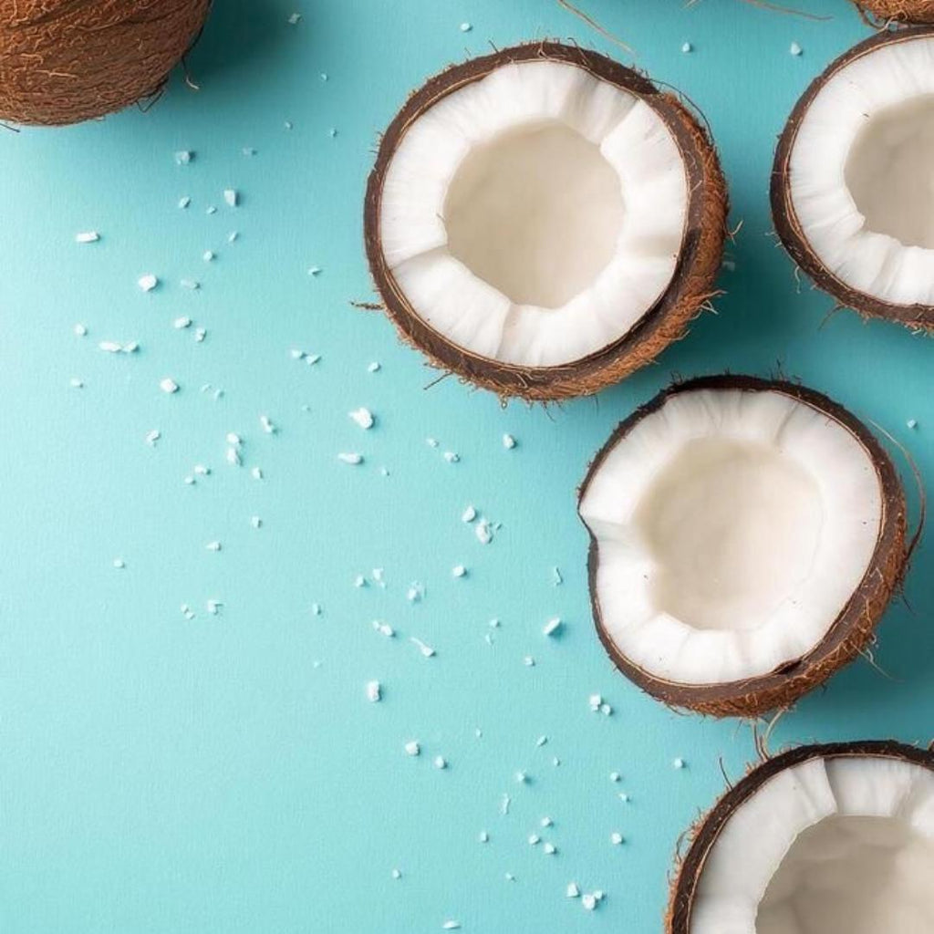 Desiccated Coconut Powder - Low Fat | Confectoland