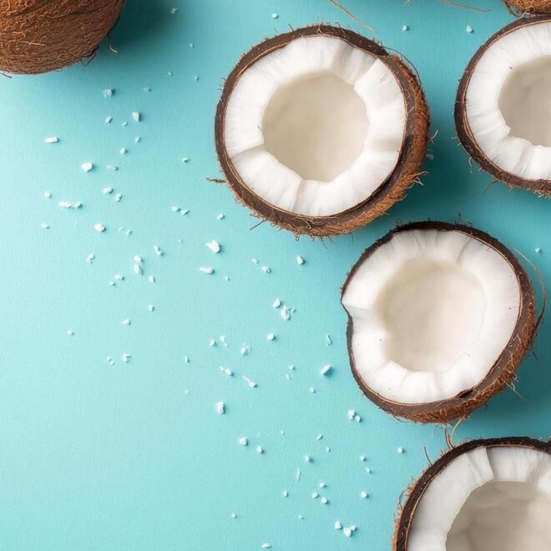 Desiccated Coconut Powder - Low Fat | Confectoland