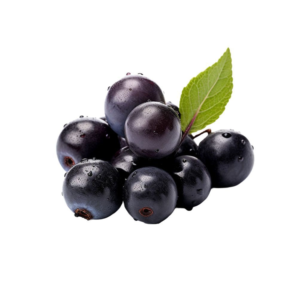 Liquid Baking Essences - 50ml Bottle | Confectoland