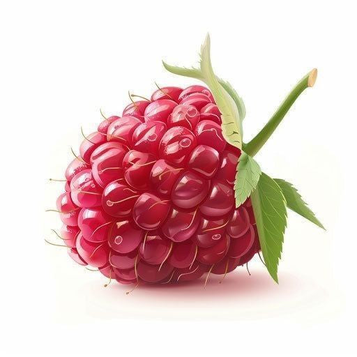 Liquid Baking Essences - 50ml Bottle | Confectoland